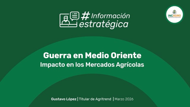 Impacto de la guerra en Medio Oriente