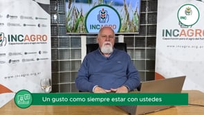 Mercado local: Dólar con grandes diferenciales en tipos de cambio 