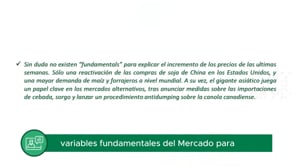 Mercado Internacional: Suba de precios sin fundamentos