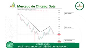 Mercado Internacional: Altísima volatilidad e incertidumbre