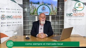 Mercado local: Avanzan las cosechas