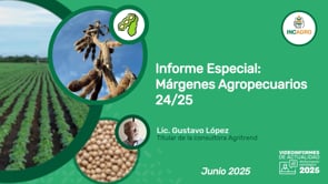Informe especial: Márgenes agropecuarios 24/25