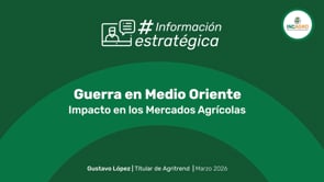 Impacto de la guerra en Medio Oriente