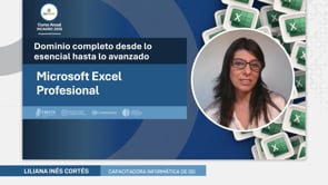 Datos ingresables a celdas