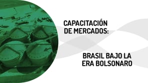 Mercados VII: Brasil en la era Bolsonaro