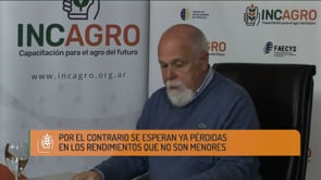 Comportamiento de los mercados de granos