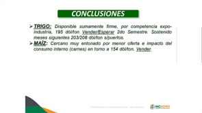 Informe del USDA-Enero 2020