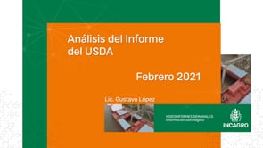 Análisis del Informe del USDA - Febrero 2021