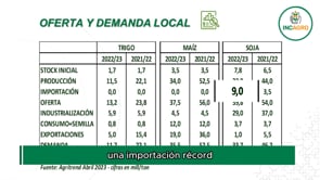 Mercado Granario Local: Argentina importará soja de Paraguay y Brasil