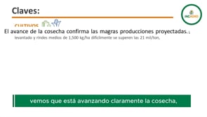 Mercado Granario Local: Al ritmo de la incertidumbre