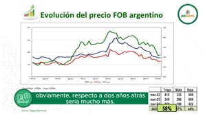 Mercado internacional: Caída precios FOB del trigo, maíz y soja